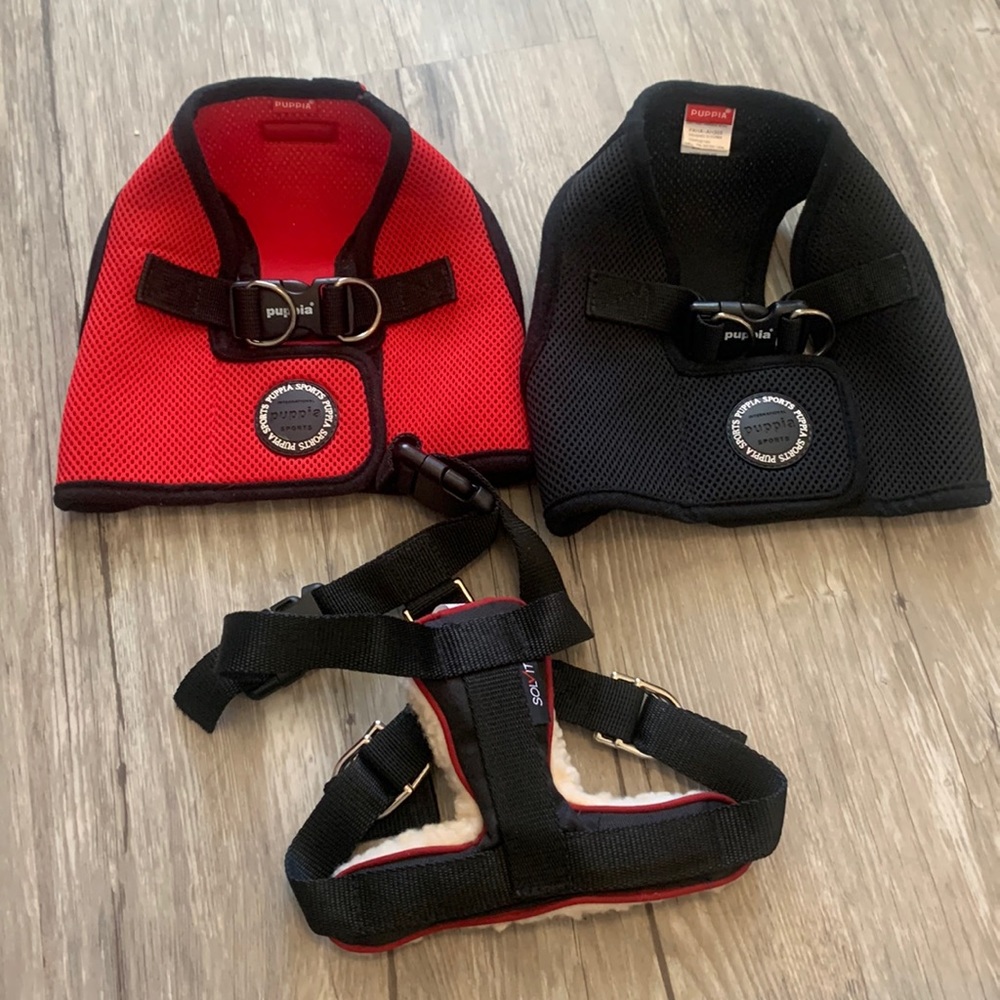 Dog harness Bundle- Small